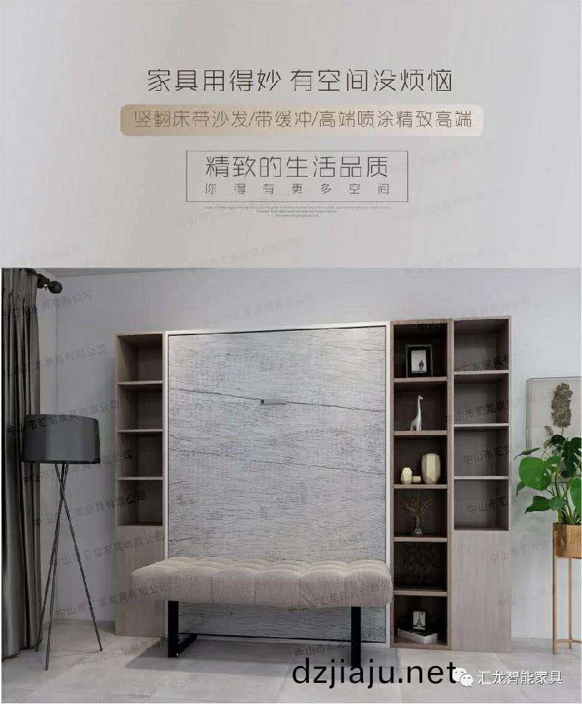 滙(hui)龍智優(you)産品係列(lie)——防裌(jia)隱形牀(chuang)